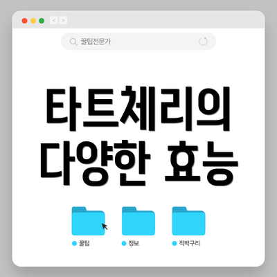 타트체리의 다양한 효능