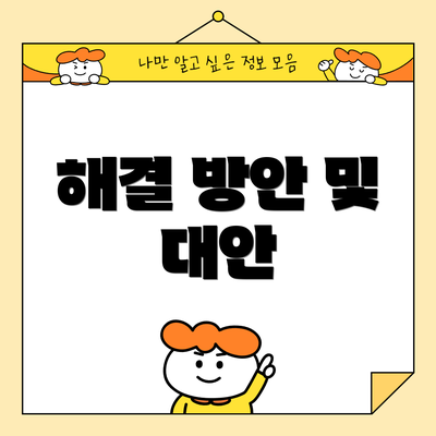 해결 방안 및 대안