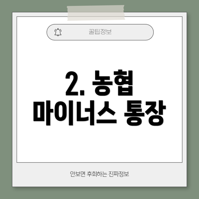 2. 농협 마이너스 통장