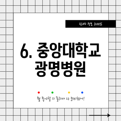 6. 중앙대학교광명병원