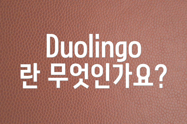 Duolingo란 무엇인가요?
