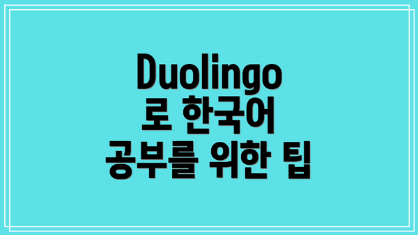 Duolingo로 한국어 공부 시작하기