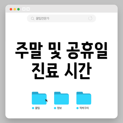 주말 및 공휴일 진료 시간