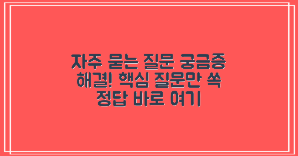 자주 묻는 질문